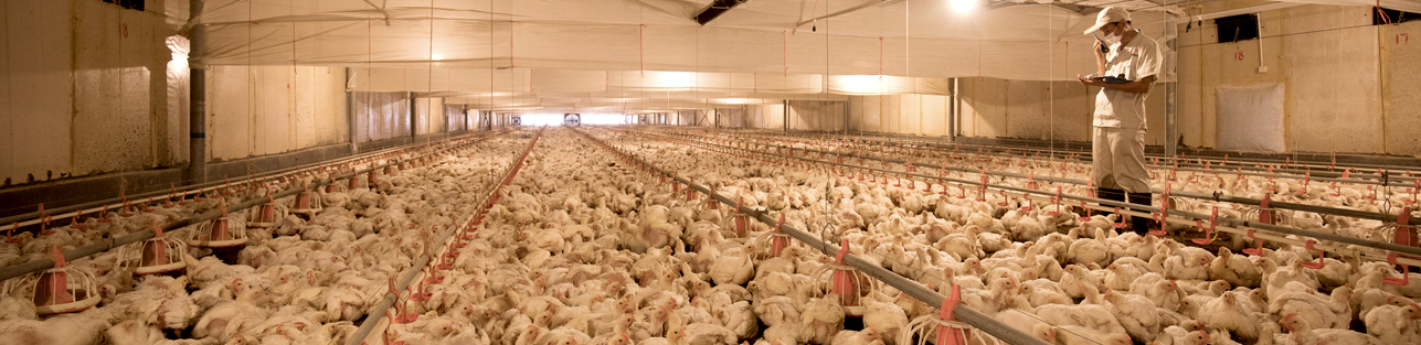 888.BY集团电子游戏(中国)有限公司官网