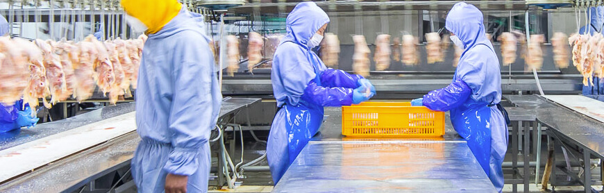 888.BY集团电子游戏(中国)有限公司官网