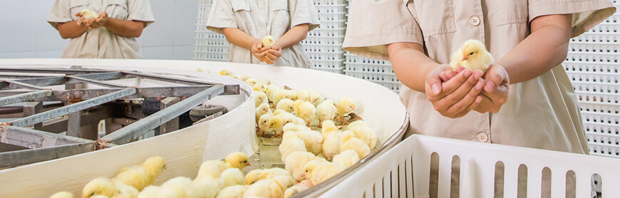 888.BY集团电子游戏(中国)有限公司官网