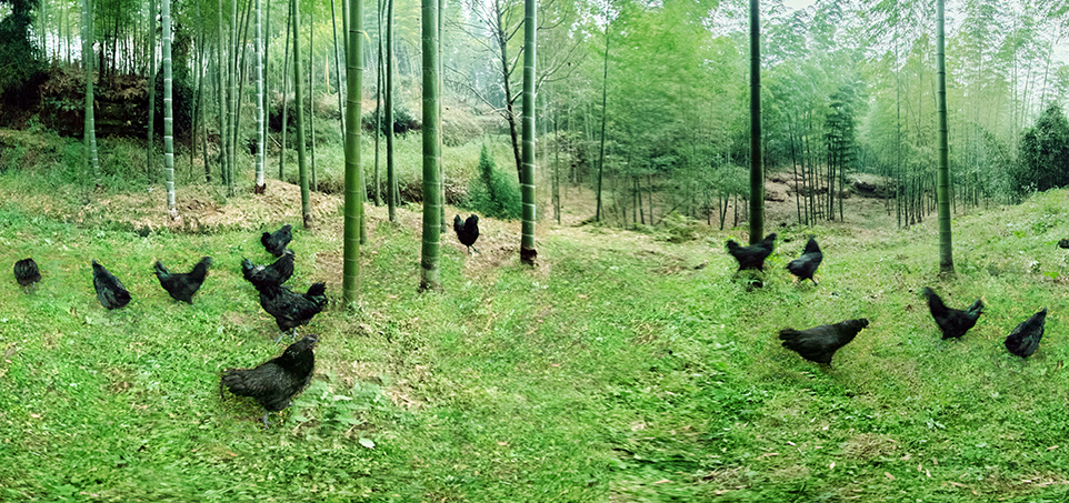 888.BY集团电子游戏(中国)有限公司官网