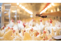 888.BY集团电子游戏(中国)有限公司官网