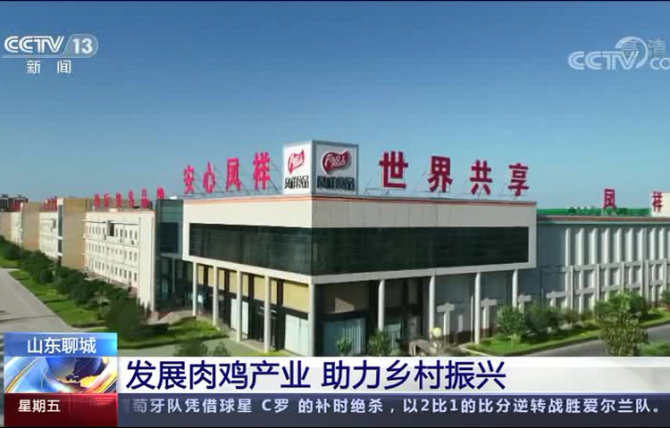 888.BY集团电子游戏(中国)有限公司官网