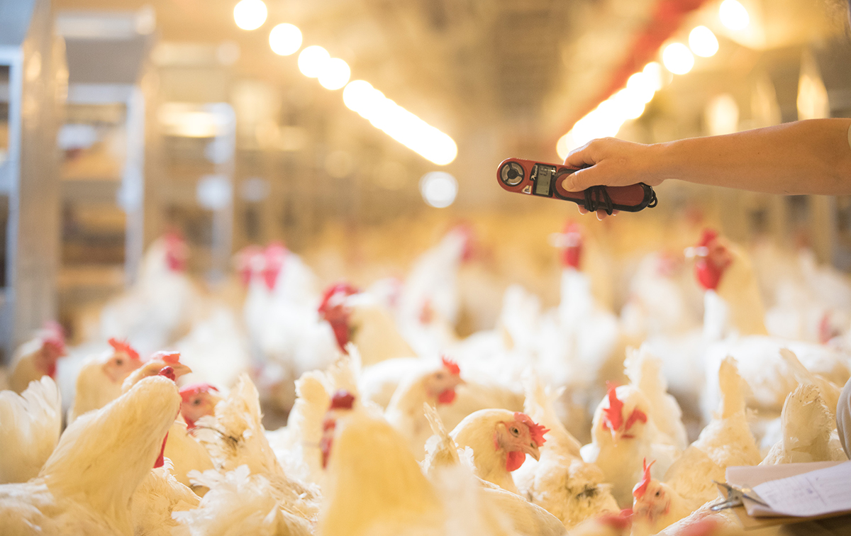 888.BY集团电子游戏(中国)有限公司官网